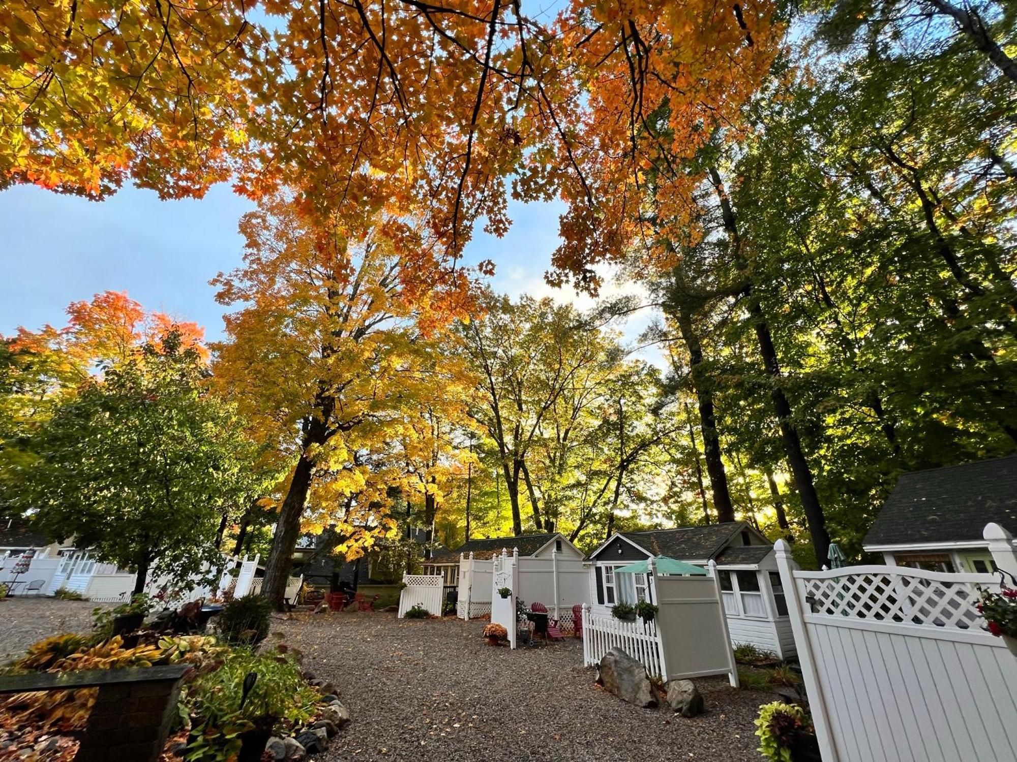Cottage 3 - Pet Friendly - 1 Bedroom / 1 Bath Wolfeboro Extérieur photo