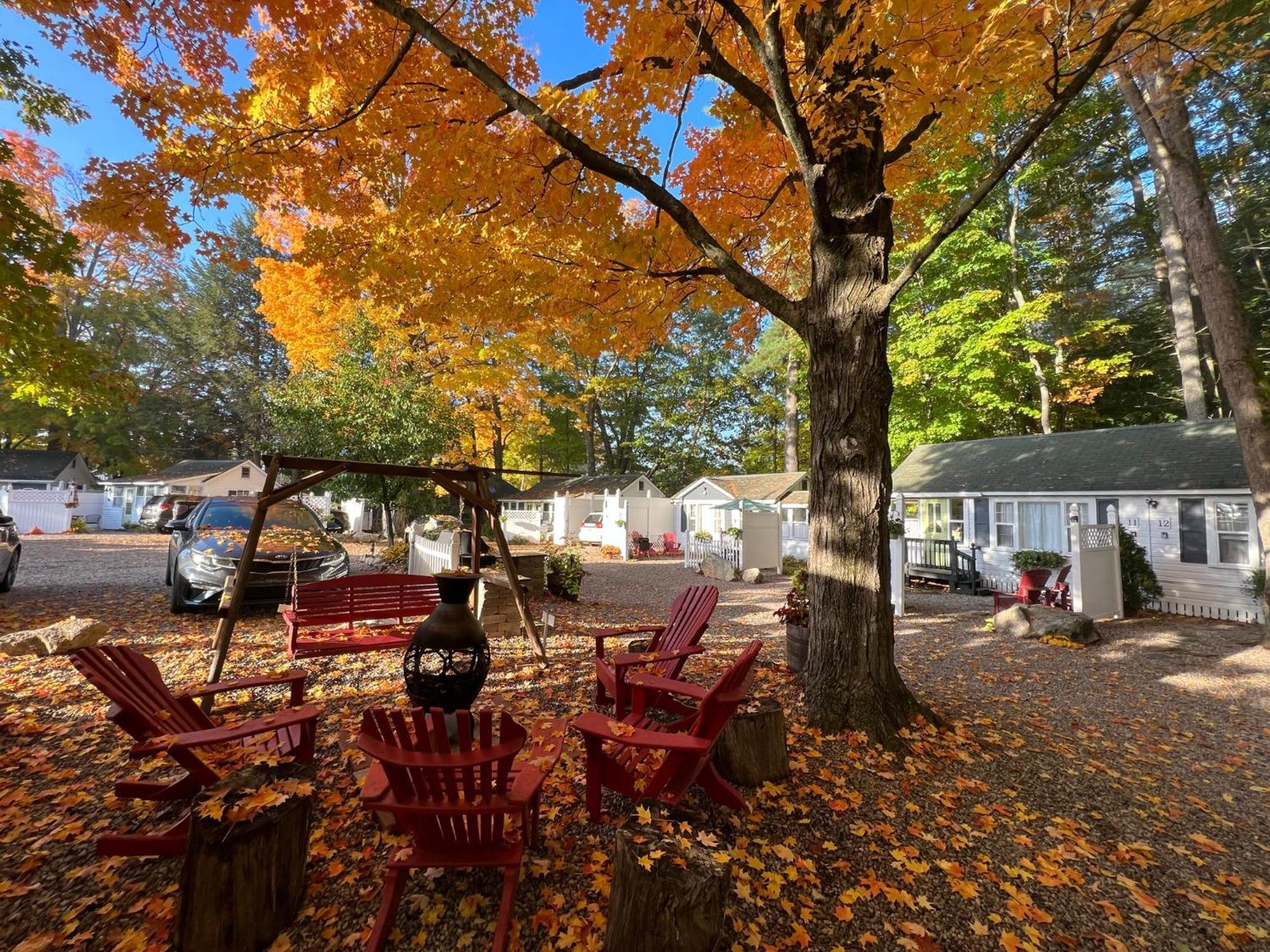 Cottage 3 - Pet Friendly - 1 Bedroom / 1 Bath Wolfeboro Extérieur photo